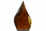Polished Indonesian Blue Amber Flame #338008-1
